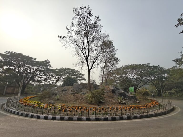 . 🎓 IIT Guwahati BS Program in Data Science and AI 2025: Admission, Fees, Eligibility, and Career Scope